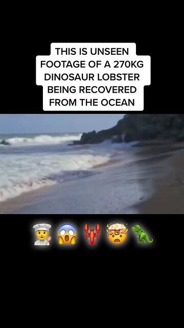 Something to make you smile!