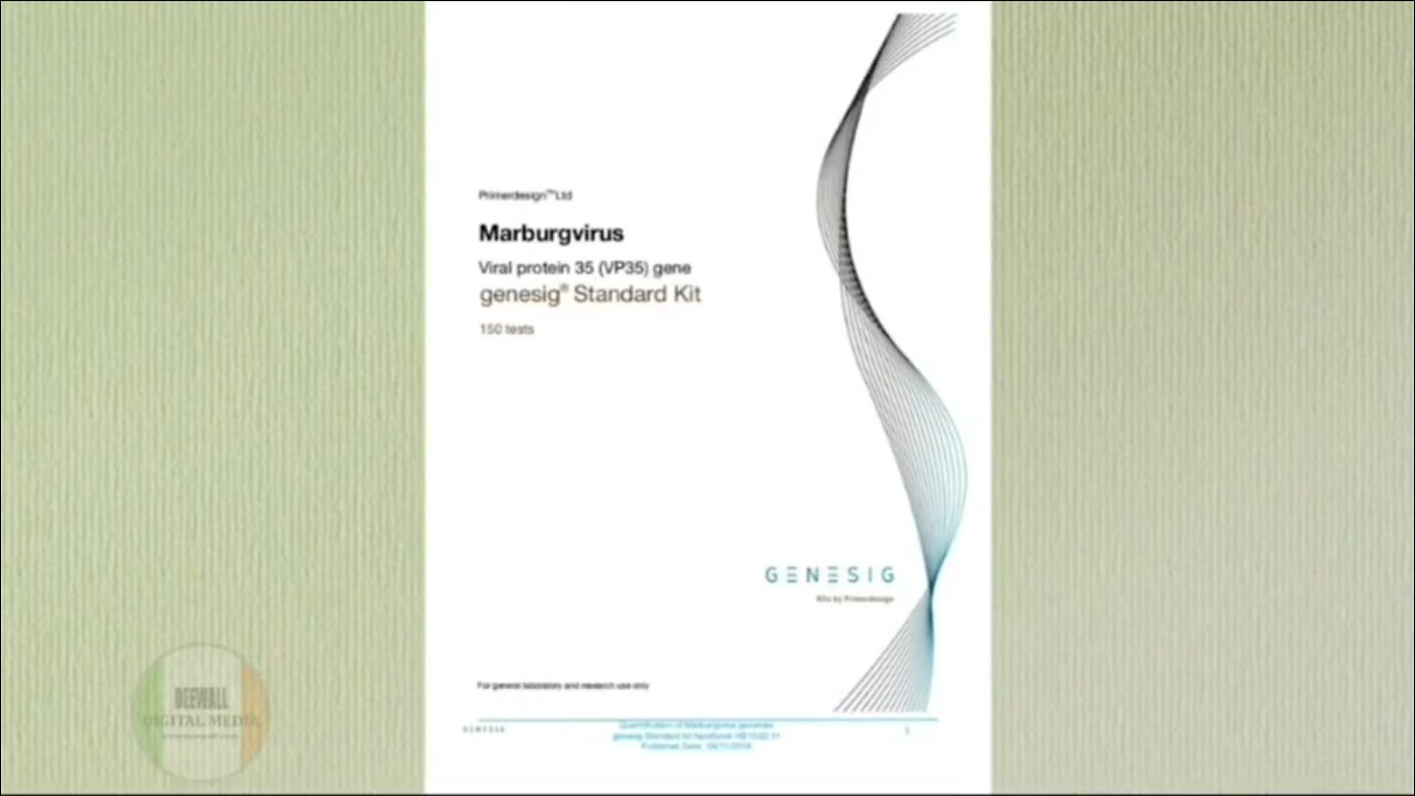 Next plandemic - Marburg