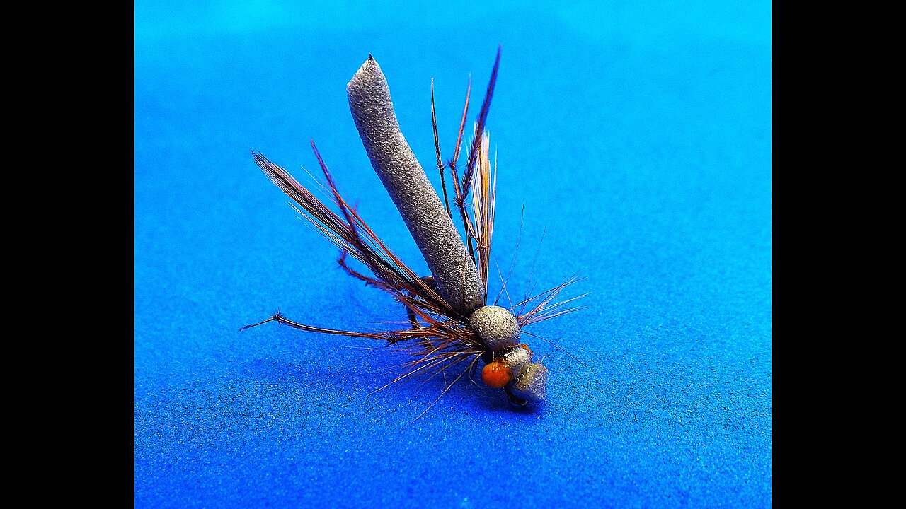 Daddy Long Legs on 2 mm foam cylinder