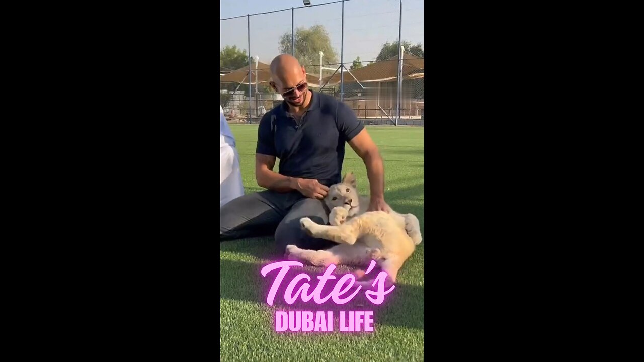 TATE'S DUBAI LIFE✈