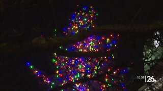 Green Bay holds annual Peace Tree lighting ceremony, kicks off winter lights