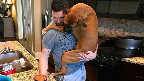 Cute Dog Can't Stop Hugging Their Human - Cute Animal Show Love