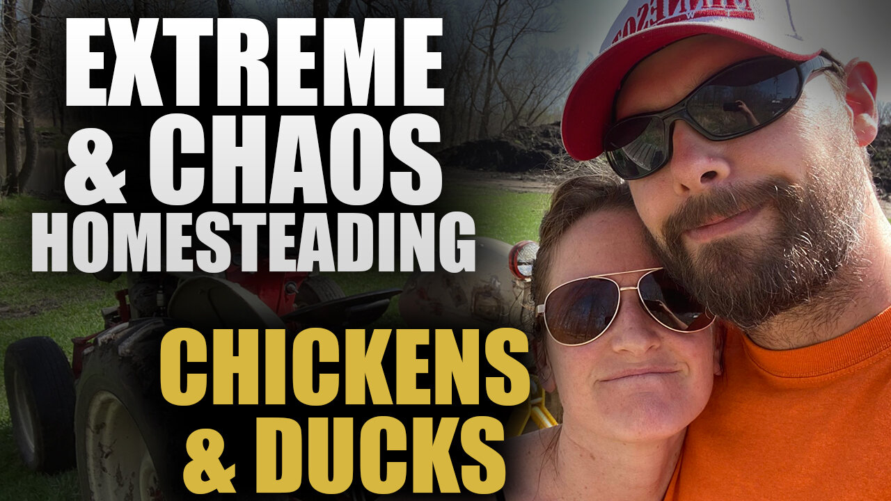 Extreme & Chaos Homesteading: Chickens & Ducks | Shane & Sarah Lohre