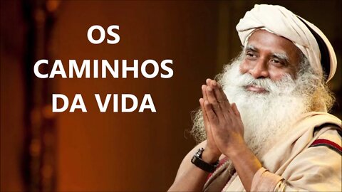 OBSERVE OS CAMINHOS DA VIDA, SADHGURU, DUBLADO