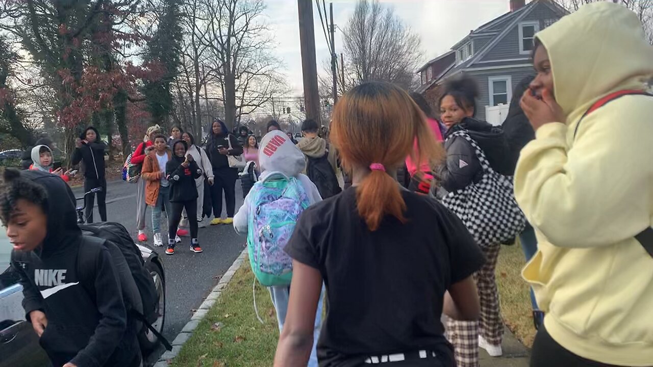 Girls fight