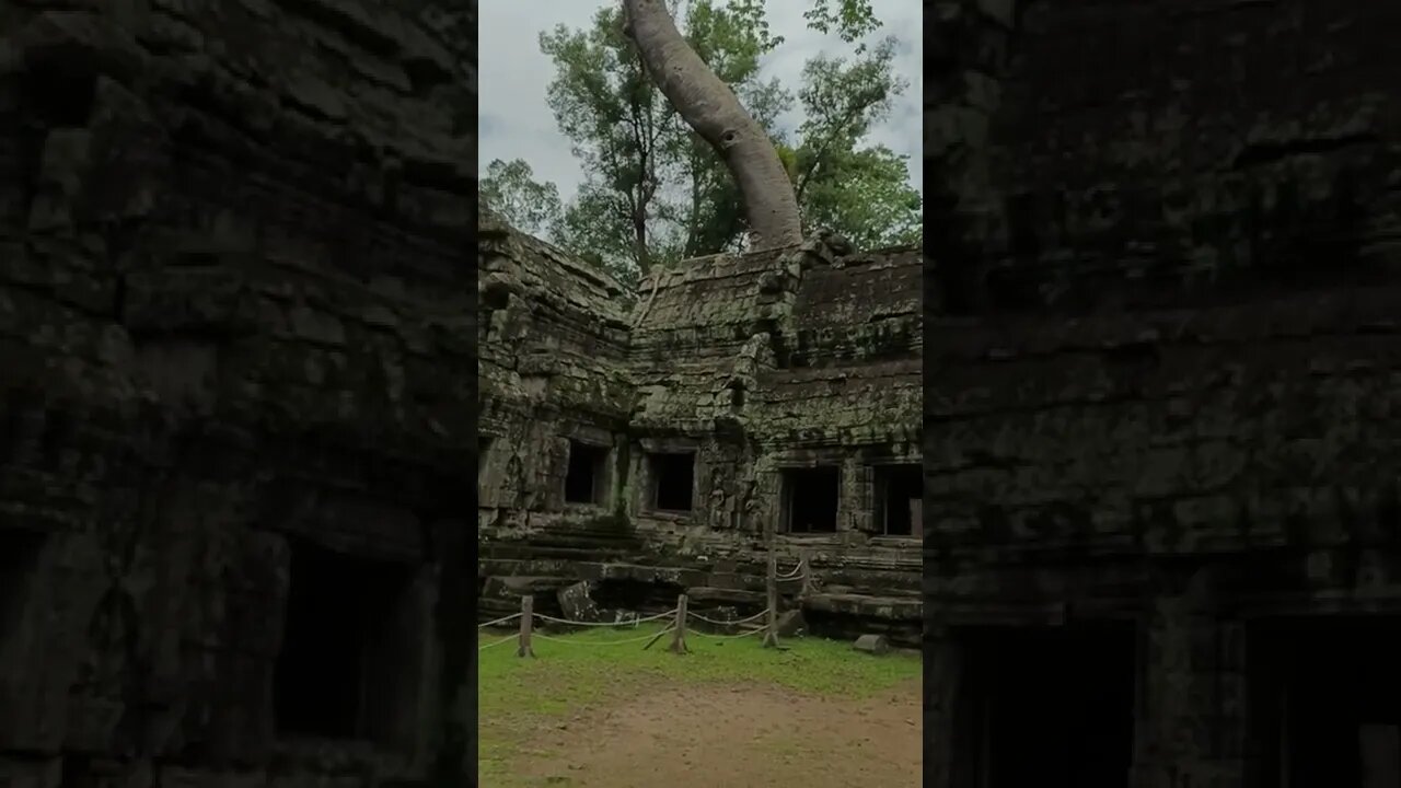 #shorts Tour Taphrom Temple, Amazing Tour Cambodia