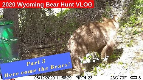 Wyoming backcountry bear hunting #3