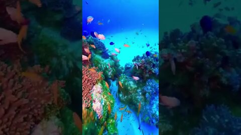 UNDERWATER Relaxing music / UNDERWATER SOUNDS / meditation