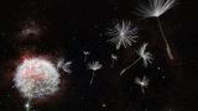 On Science - A Star Is Born