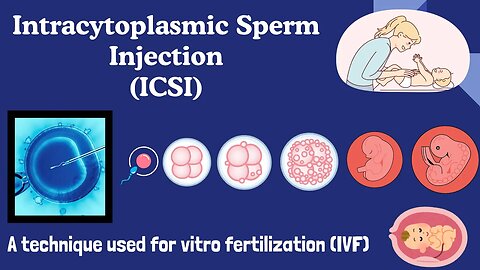 Intracytoplasmic Sperm Injection (ICSI) | In vitro Fertilization (IVF) | Explained