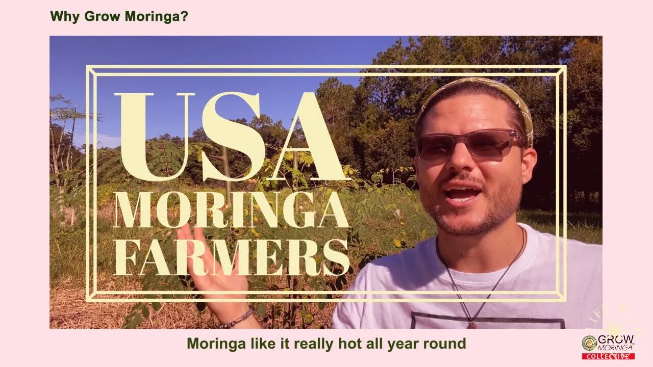 USA Moringa Farmers Certifications + Training for Harvesting, Processing and Selling Your Moringa