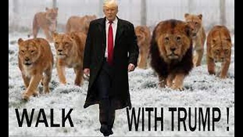 TRUMP PRESIDENTAL IMMUNITY...OFFICIAL VS UNOFFICIAL ACTS
