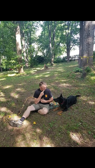 Imlee long line work and Play