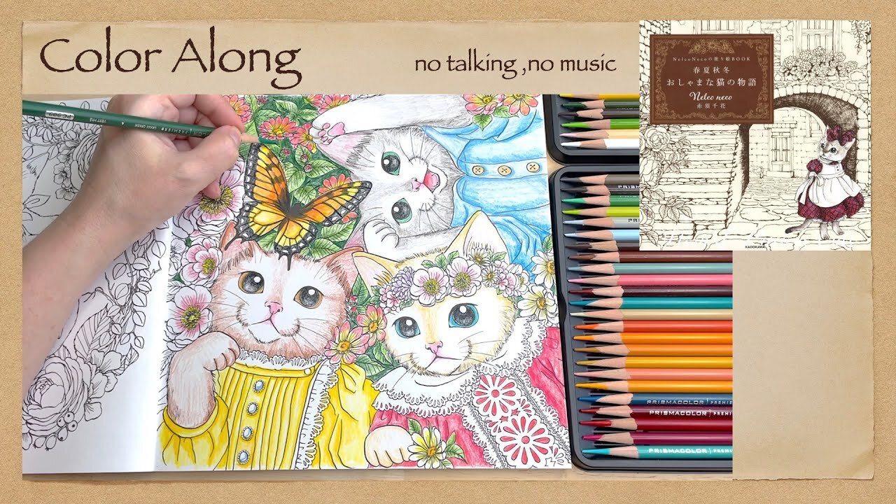 Color Along, Calming, Stress Relief "Oshama Cat Story" Nelco Neco Coloring Book no talking ASMR