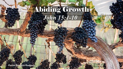 Abiding Growth, Pastor Brandon Rodgers, 11-17-2024