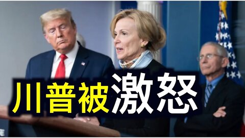 川普總統聲明爆疫情重大內幕！福奇建議「不需要戴口罩」並且資助武漢病毒所！！！川普网站成立。