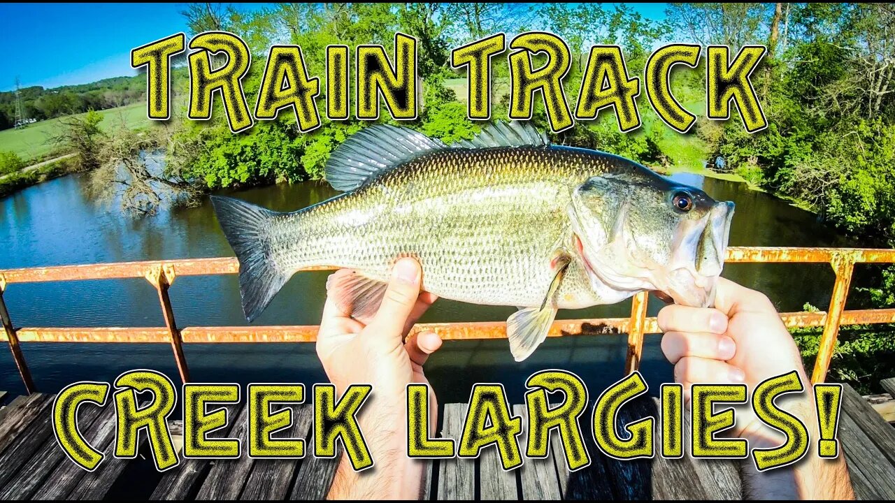 Largemouth catch from atop a Train Track Bridge!!