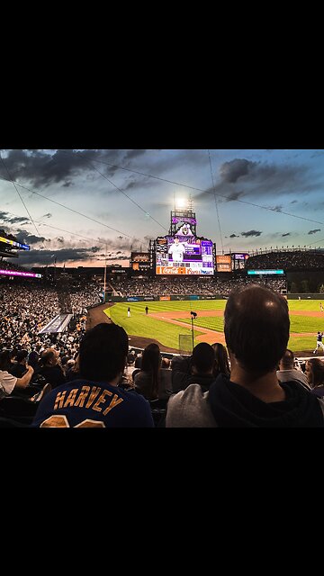 Much Craziness to Show Your Love for the Premier League! ⚽︎🏆⚽