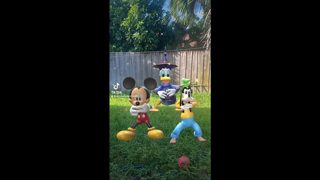 Fun 🤩