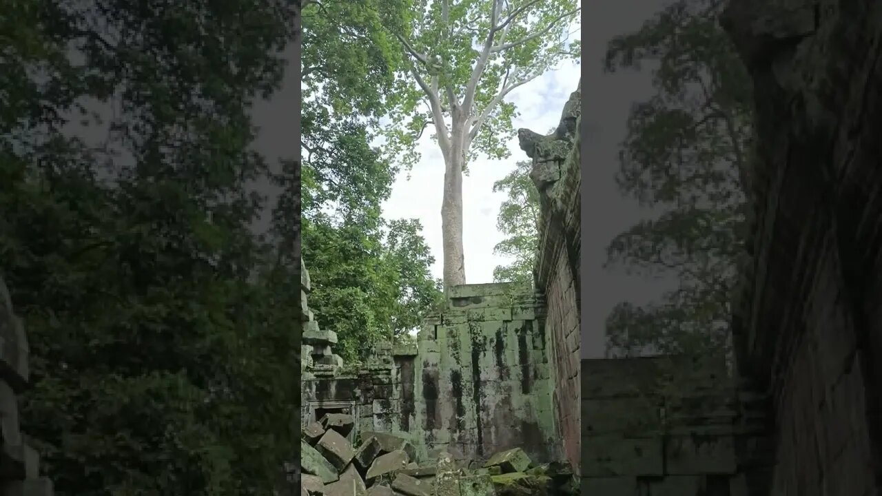 Taphrom Temple #shorts #tourcambodia #angkorwat