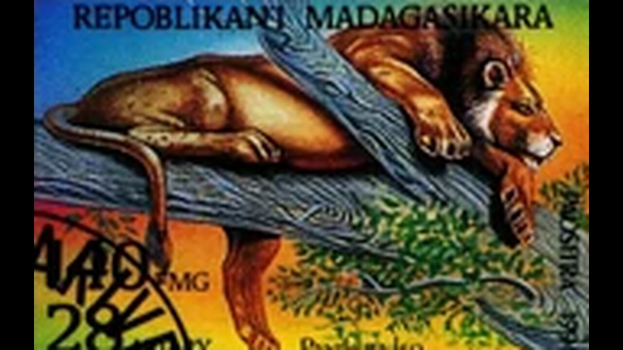 The Malagasy Lion