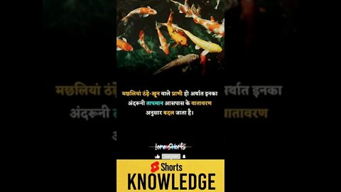 Motivational Quotes Intresting Facts lifestyle & research #shorts #ytshorts #knowledge #motivation