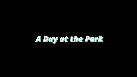 A Day at the Park