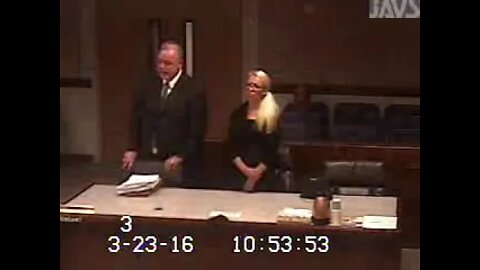 Rodriguez & Turner matter before Cheryl Moss Family Court Judge Clark County 3/23/16 2-2