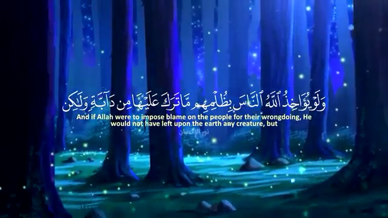 Calm Quran recitation