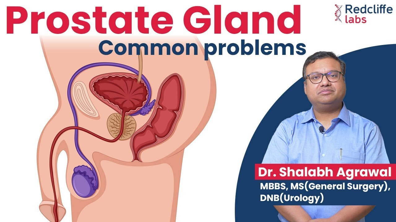 ✅ Prostate Gland and Urinary Problems Home Remedies | ✅