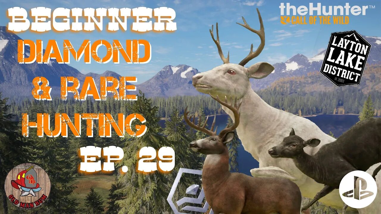 Beginner Diamond & Rare Hunting Ep 29 theHunter Call of the Wild