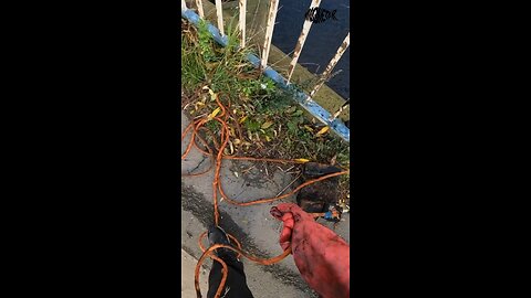 Unbelievable Find! Giant Weight Pulled From the Deep