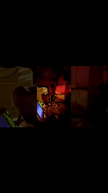 Milo doesn’t like traffic jams!