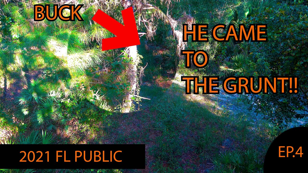 2021 Florida Public Land Ep 4