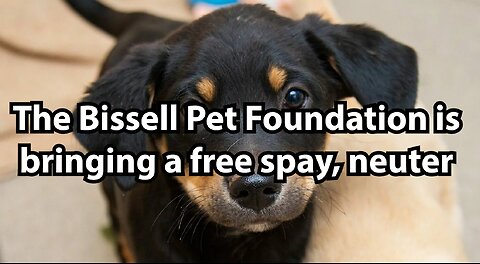 The Bissell Pet Foundation is bringing a free spay, neuter