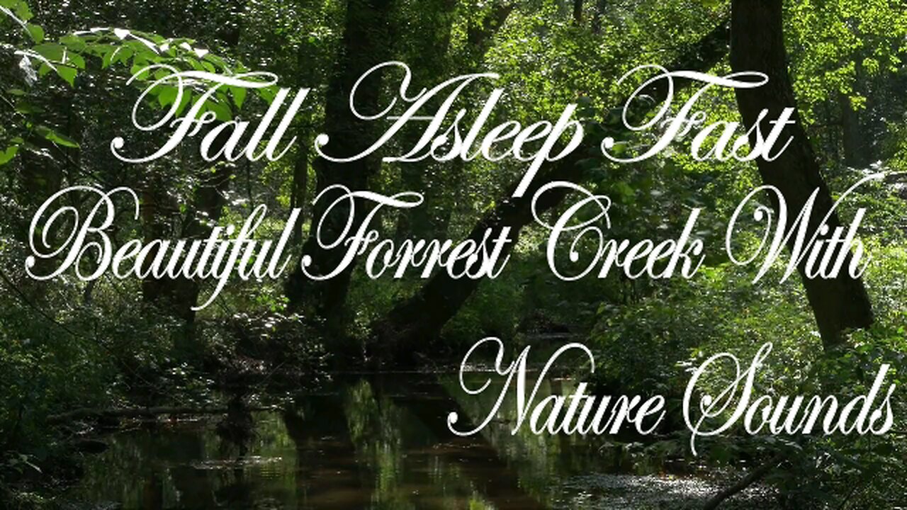 Fall Asleep FAST | Beautiful Forrest Creek | Nature Sounds | 528Hz Solfeggio Frequency