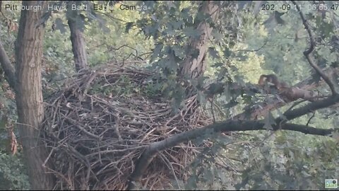 Hays Eagles Dad spoils squirrels visit 2021 09 11 09 06 56 324