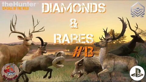 Diamond & Rare montage #13 Console theHunter Call of the Wild