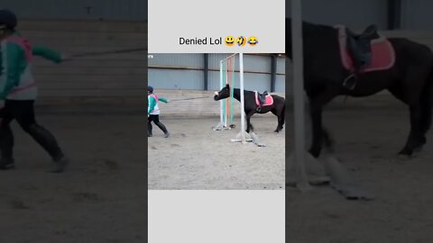 Horse 🐎 denied to go through