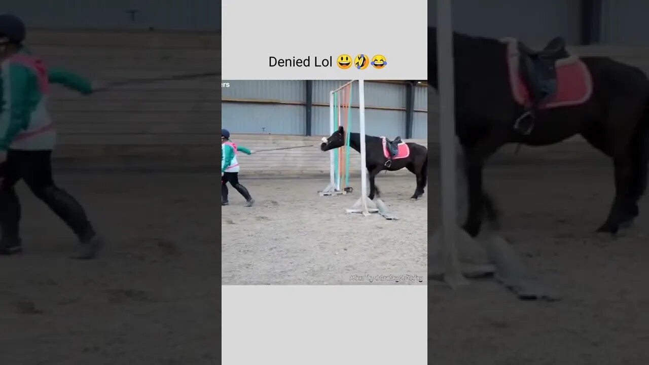Horse 🐎 denied to go through