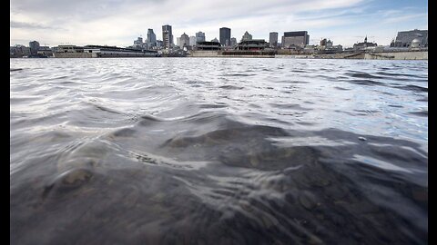 Quebec First Nations Chiefs seek to have “St. Lawrence River” declared a “Person!”