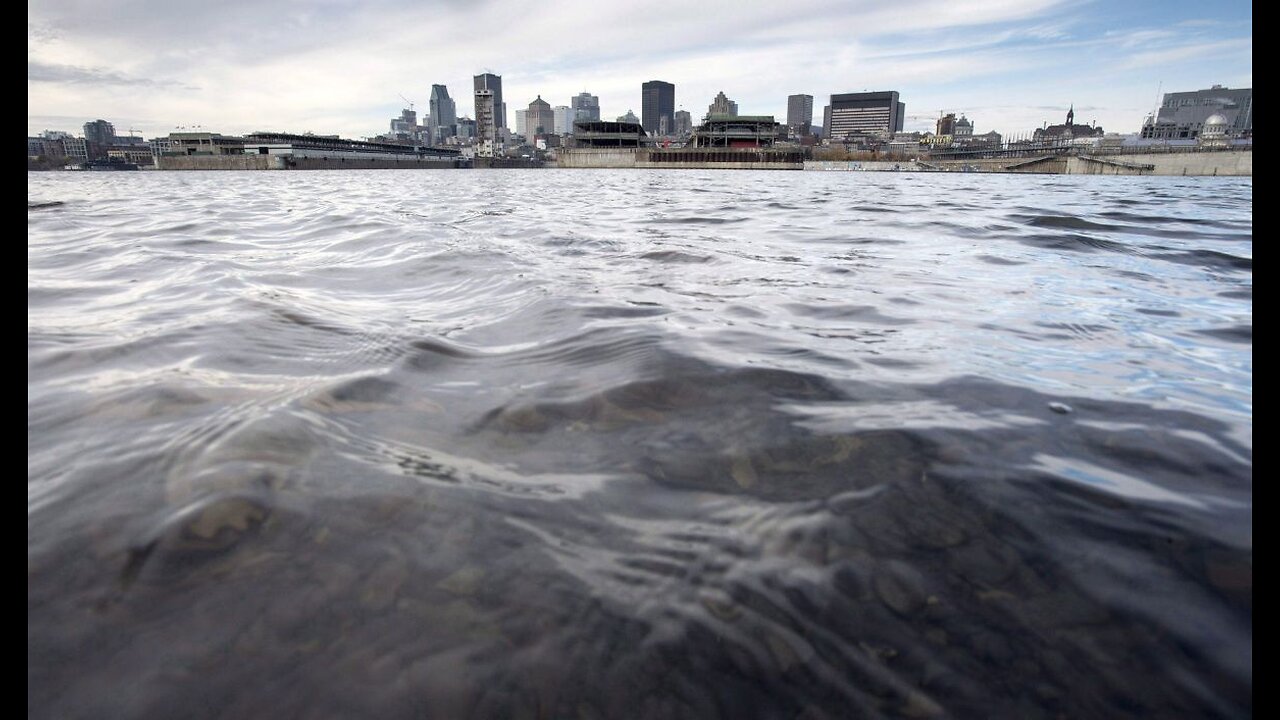 Quebec First Nations Chiefs seek to have “St. Lawrence River” declared a “Person!”