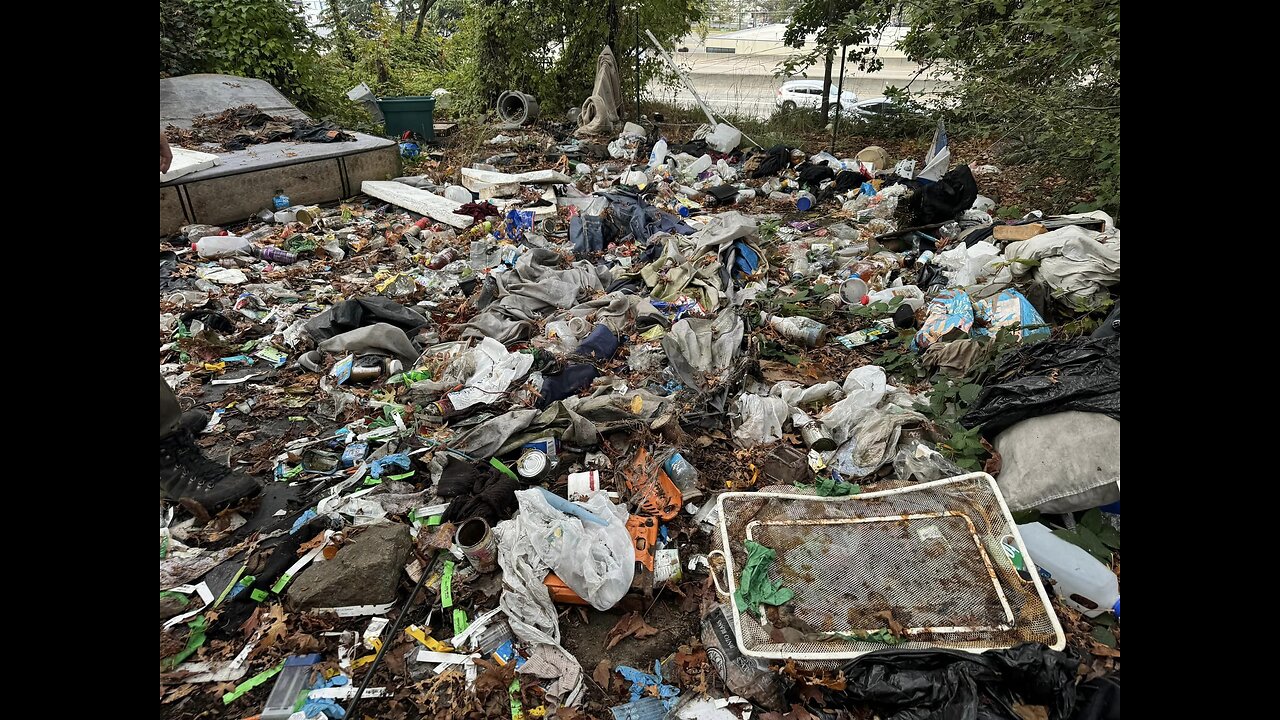 Missing Woman Found Dead In Suitcase At Seattle Homeless Camp