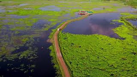 Aerial Exploration of a Green Landscape.