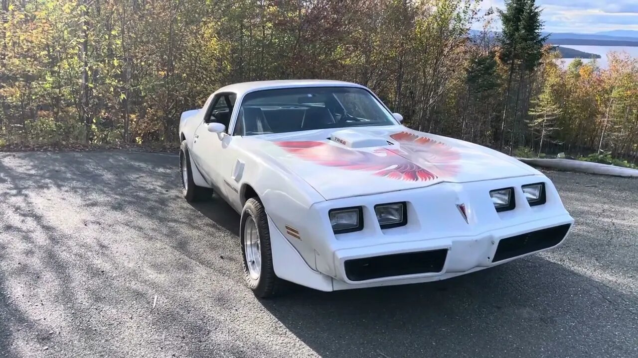 Firebird update @Pinebarrenscraftsman #chevy #pontiac #firebird #trans am