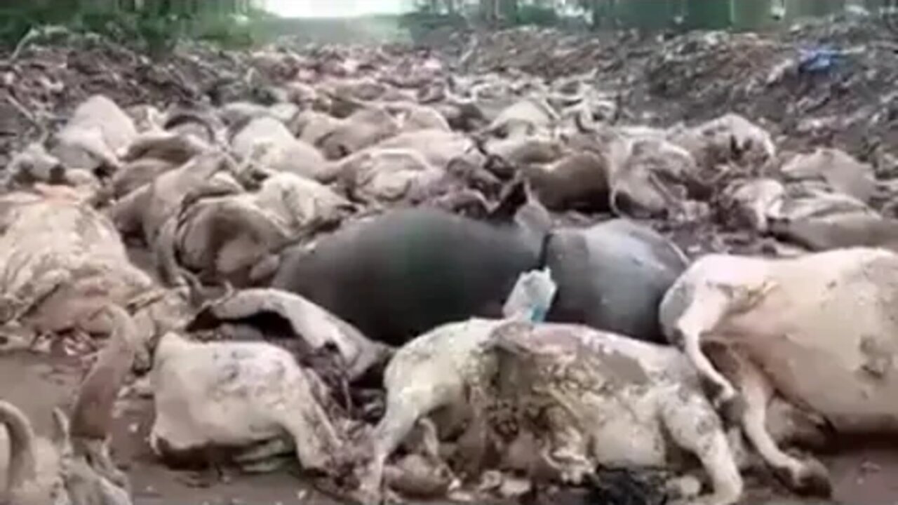 ۴ سپتامبر ۲۰۲۲