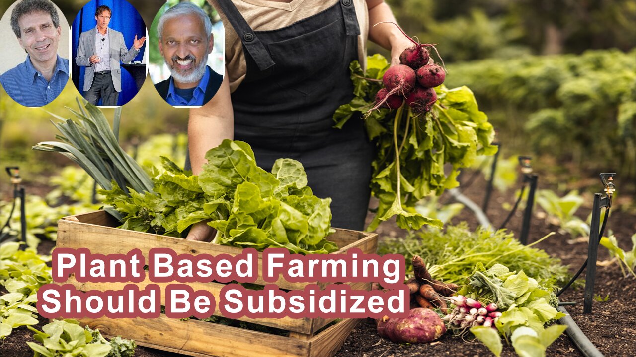 Why Plant Based Farming Is The Agriculture That Should Be Subsidized