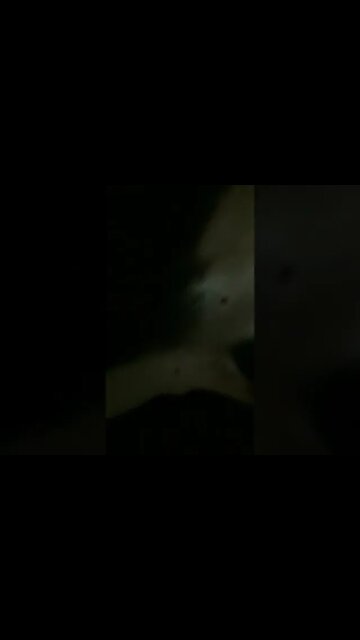 Até as cachorras tem ódio do Padre Daniel da Rede TV #shorts