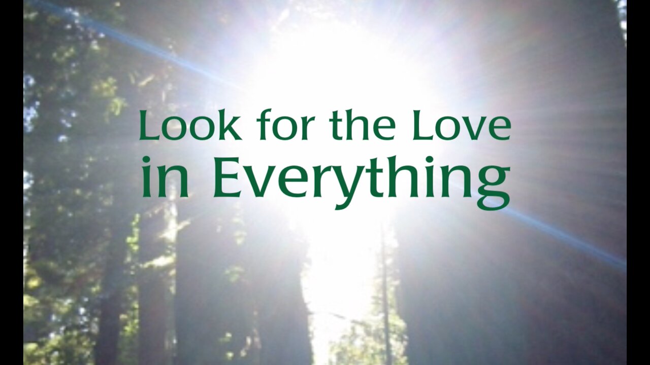 Look for the Love in EVERYTHING