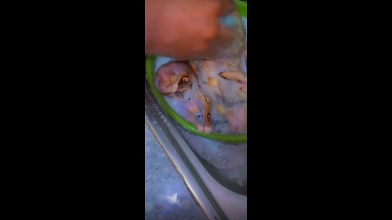 Eating in some people house be like